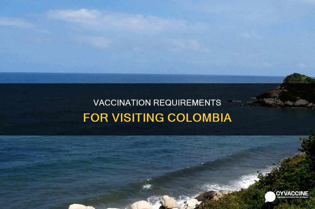 do you have to be vaccinated to visit colombia