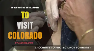 Traveling to Colorado? Vaccination Requirements and Recommendations