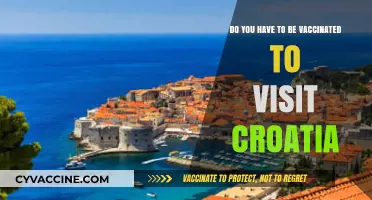 Vaccination Requirements for Visiting Croatia