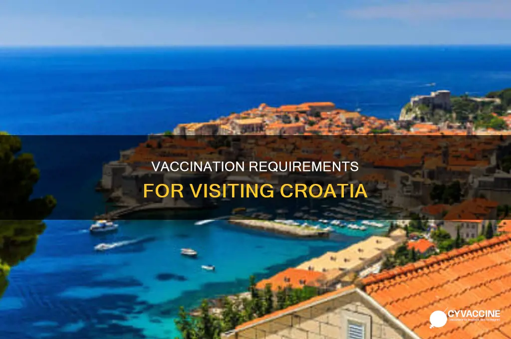 do you have to be vaccinated to visit croatia