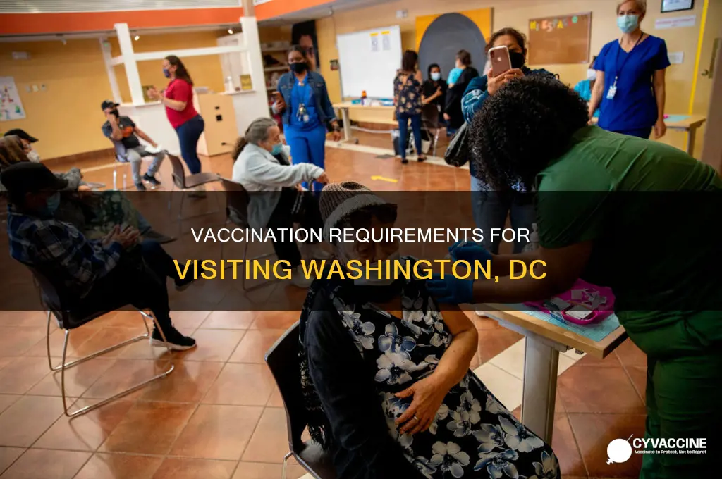do you have to be vaccinated to visit dc