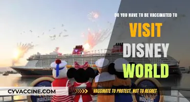 Disney World: Vaccination Requirements for Visitors
