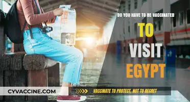 Egypt Travel: Vaccination Requirements and Entry Rules