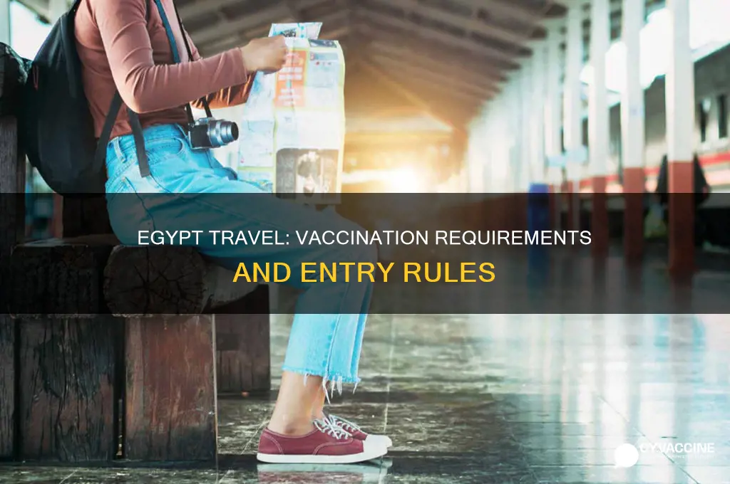 do you have to be vaccinated to visit egypt