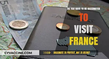 Vaccination Requirements for Visiting France: What You Need to Know