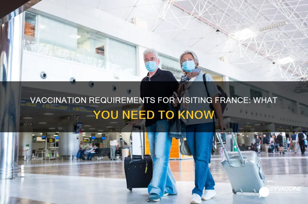 do you have to be vaccinated to visit france