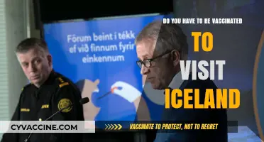 Iceland's Vaccination Requirements: What You Need to Know