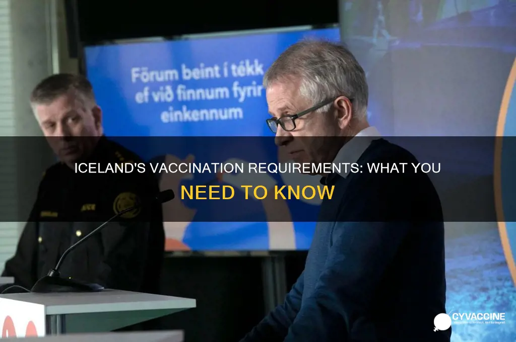 do you have to be vaccinated to visit iceland