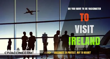 Traveling to Ireland? Vaccination Requirements Explained