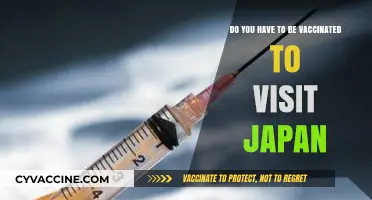 Japan's Vaccination Requirements for Visitors Explained