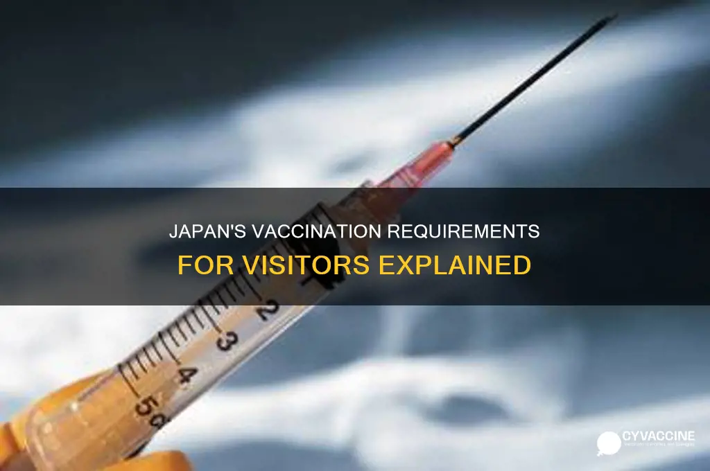 do you have to be vaccinated to visit japan