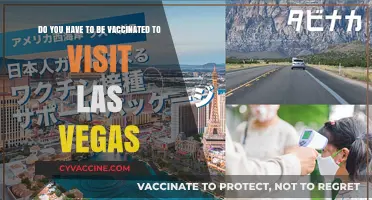 Vaccination Requirements for Visiting Las Vegas