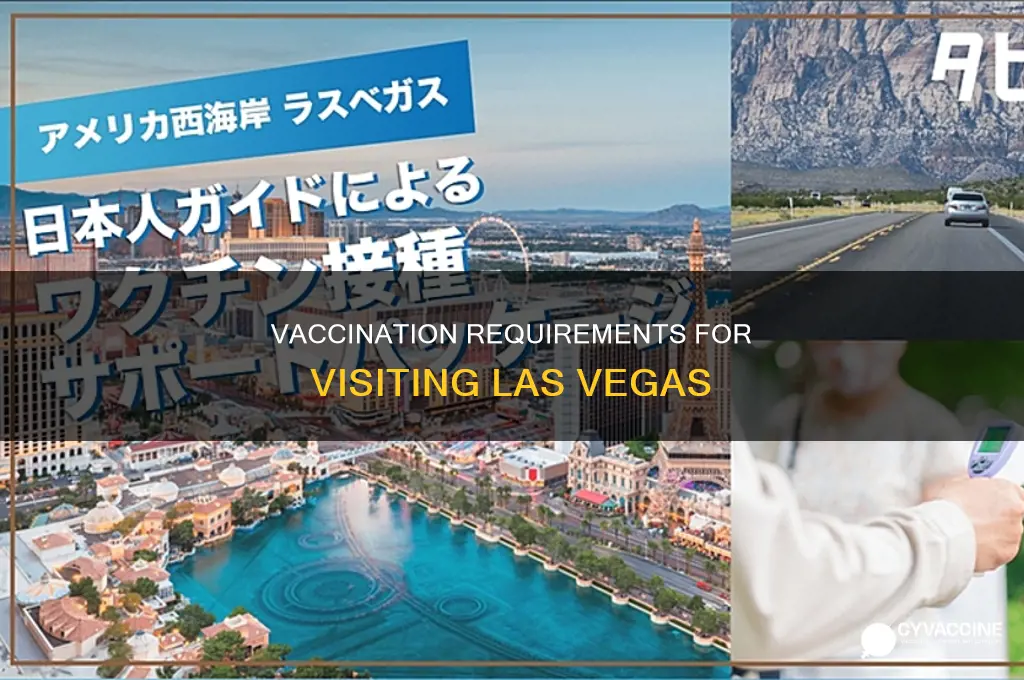 do you have to be vaccinated to visit las vegas