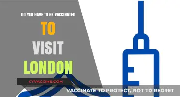 London's Vaccination Rules: What Travelers Need to Know