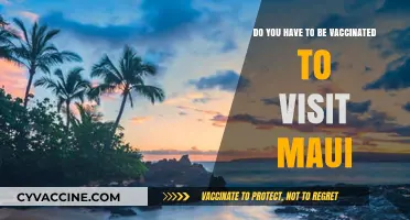 Maui Travel: Vaccine Requirements and Entry Rules