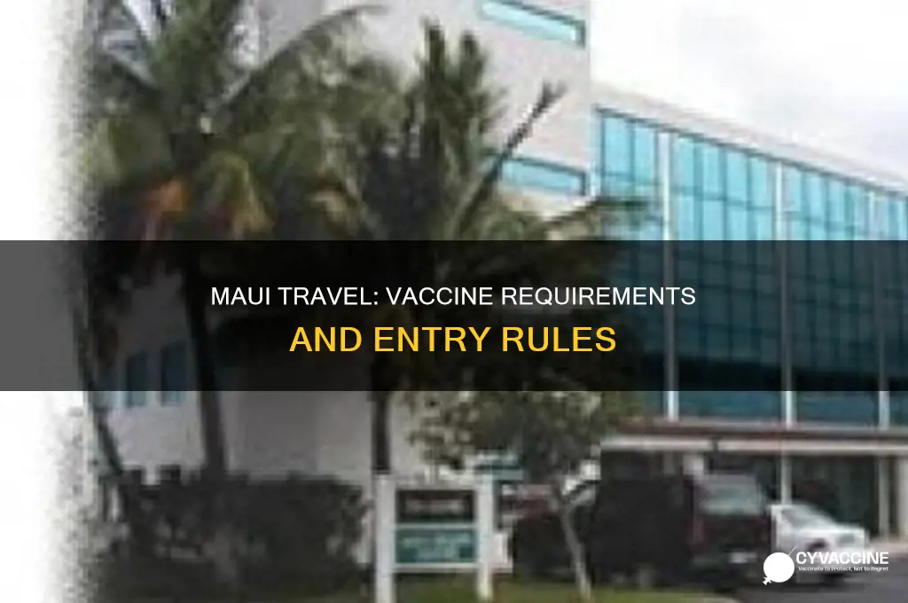 do you have to be vaccinated to visit maui