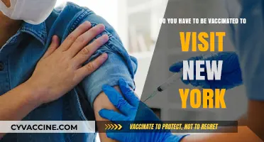 Vaccination Requirements for Visiting New York City