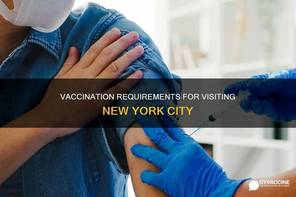 do you have to be vaccinated to visit new york