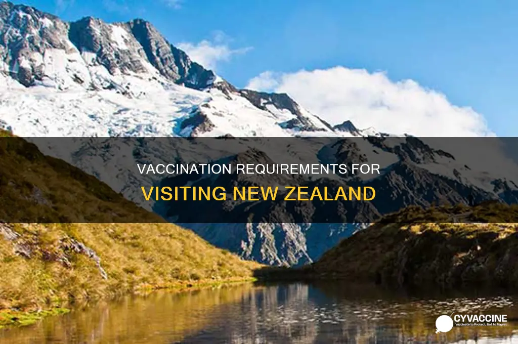 do you have to be vaccinated to visit new zealand