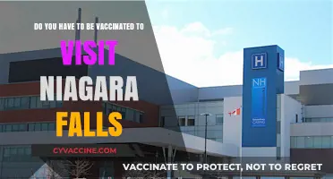 Niagara Falls: Vaccination Requirements for Visitors