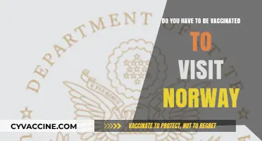 Vaccination Requirements for Visiting Norway: What You Need to Know