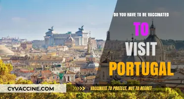 Vaccination Requirements for Visiting Portugal