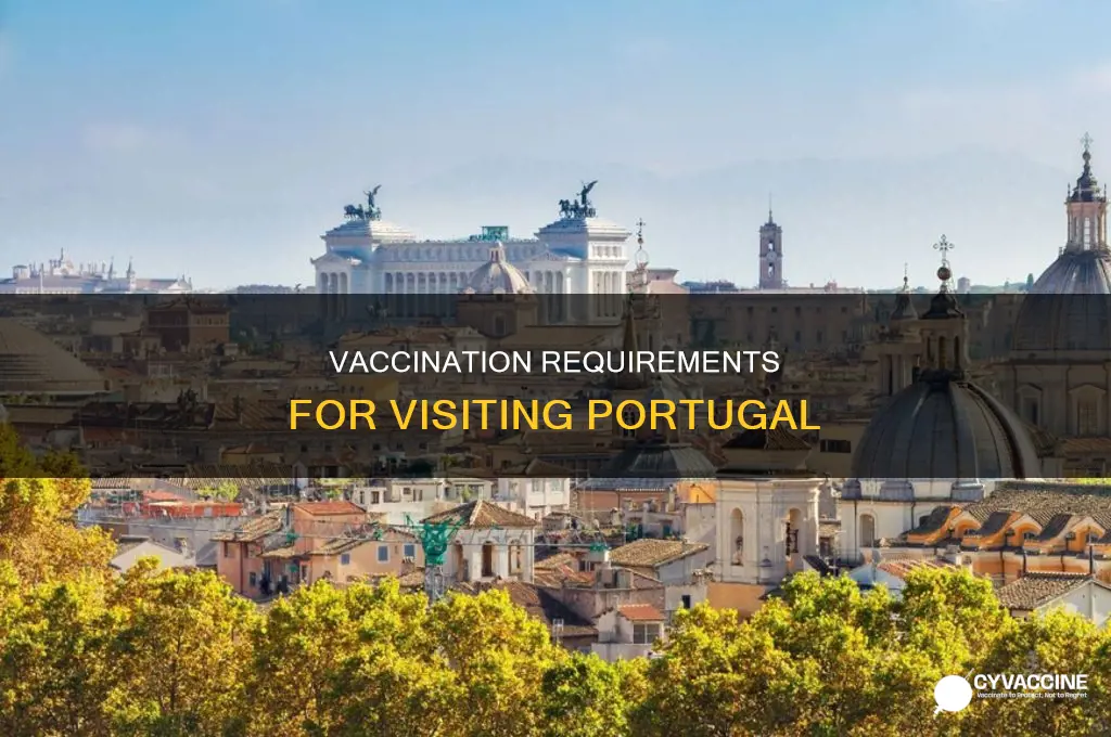 do you have to be vaccinated to visit portugal