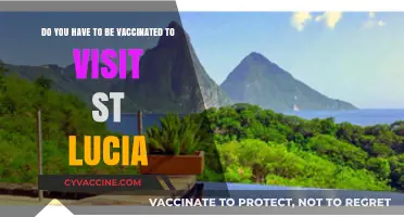 St. Lucia's Vaccination Rules for Visitors Explained