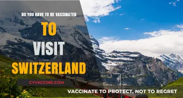 Switzerland's Vaccination Rules for Visitors Explained