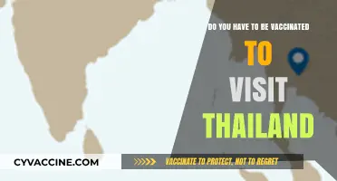 Thailand's Vaccination Requirements for Visitors: What You Need to Know