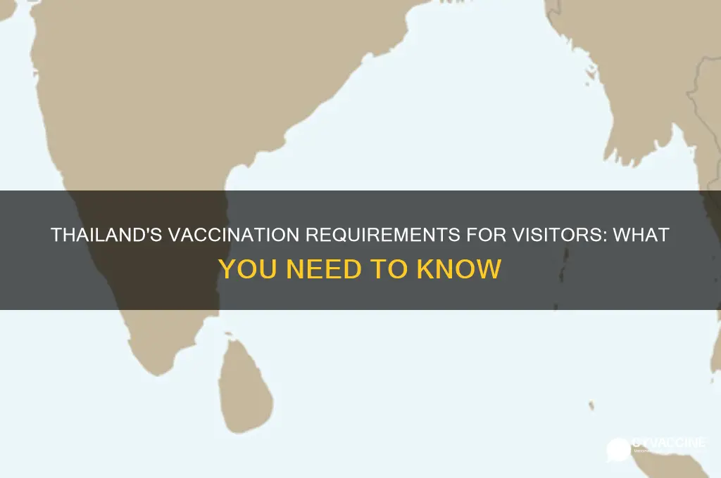 do you have to be vaccinated to visit thailand