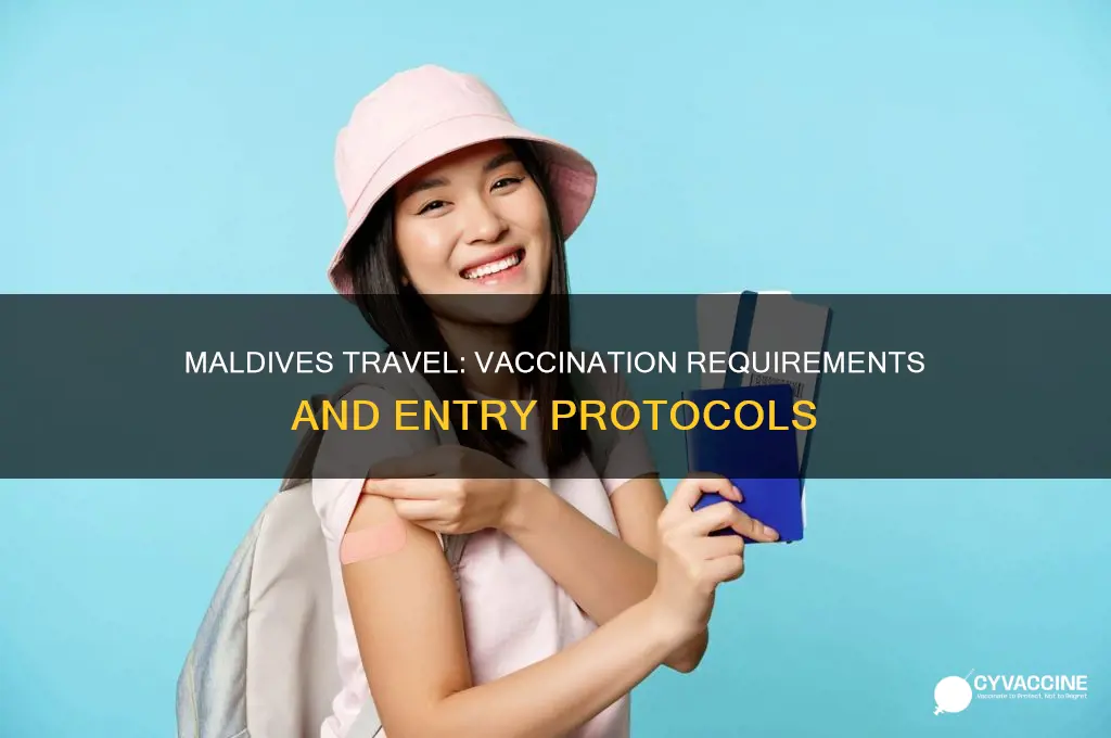 do you have to be vaccinated to visit the maldives