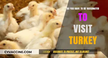 Turkey Travel: Vaccination Requirements and Entry Rules