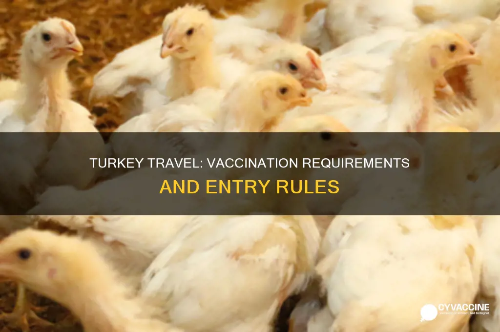 do you have to be vaccinated to visit turkey