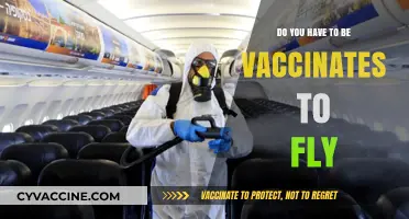 Air Travel and Vaccines: What You Need to Know