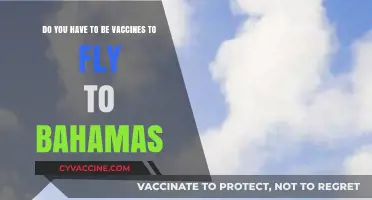 Vaccination Requirements for Flying to the Bahamas