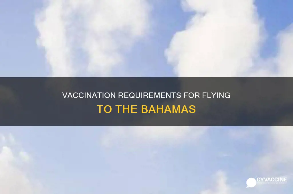 do you have to be vaccines to fly to bahamas
