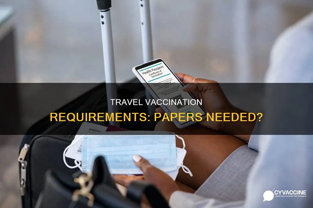 do you have to bring vaccination papers when travellin
