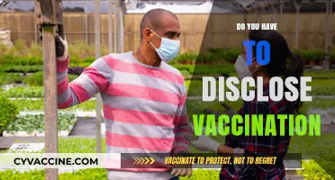 Vaccination Disclosure: Legal, Ethical, and Personal Considerations Explained