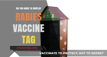 Rabies Vaccine Tag: To Display or Not?