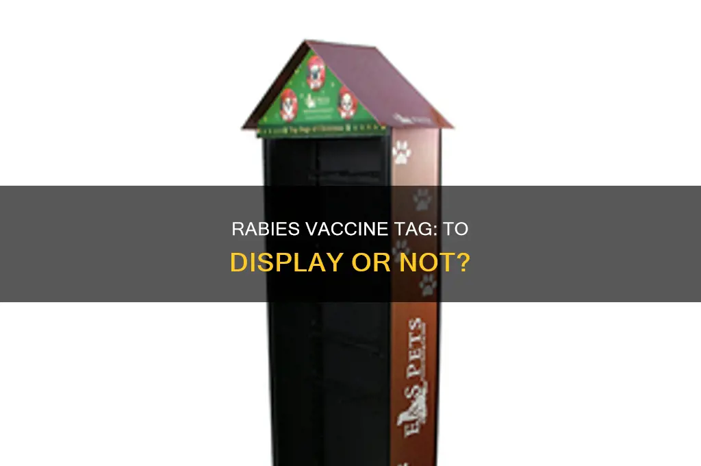 do you have to display rabies vaccine tag