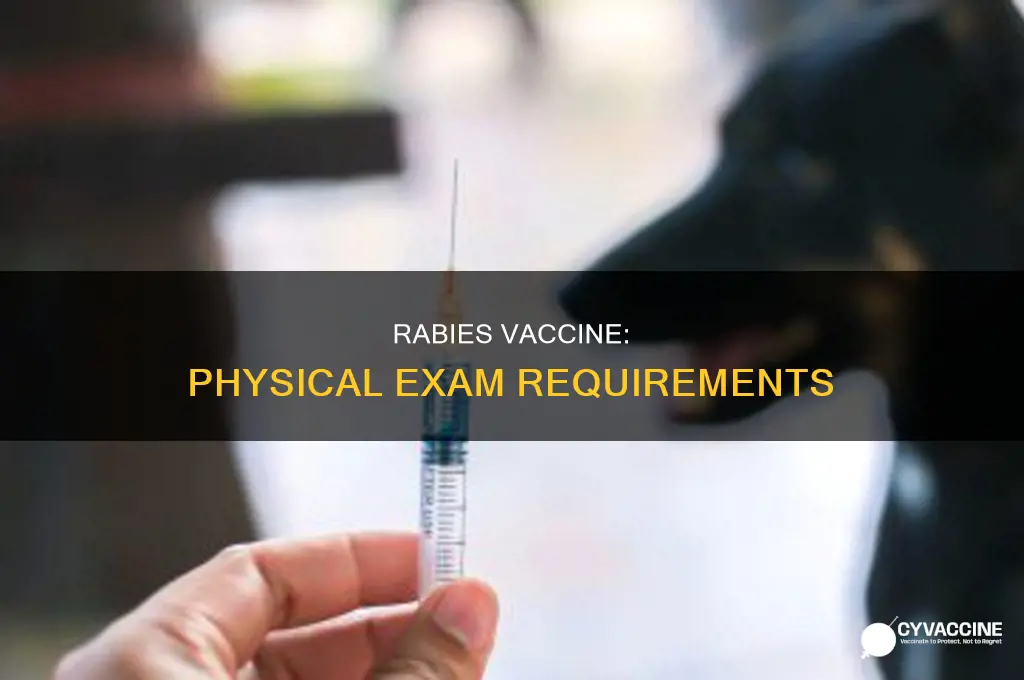 do you have to do physical exams for rabies vaccine