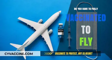 Air Travel and Vaccination: What's the Requirement?