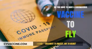 Coronavirus Vaccines: Flying Requirements and Your Health