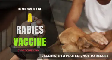 Rabies Vaccine: Is It Necessary?