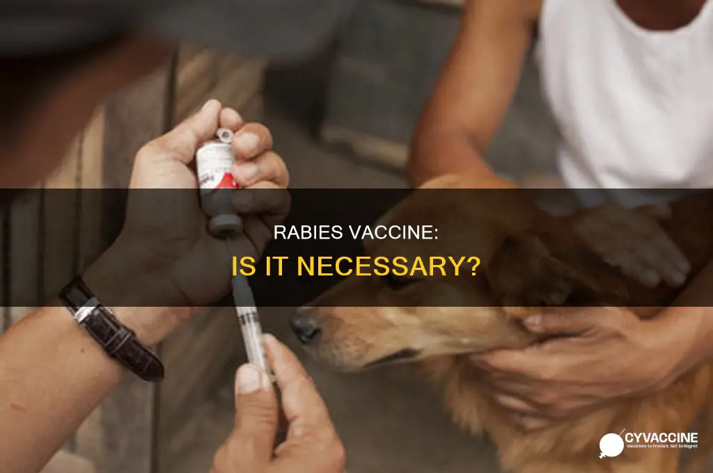 do you have to have a rabies vaccine