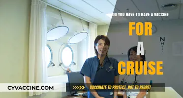 Cruise Vaccination Requirements: What You Need to Know