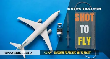 Vaccine Mandates: Flying and Travel Requirements
