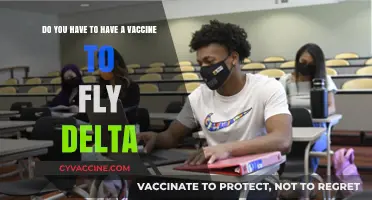 Delta's Vaccine Mandate: Flying Post-Pandemic