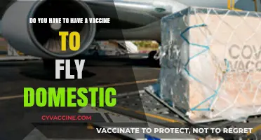 Vaccine Mandates: Domestic Air Travel Requirements